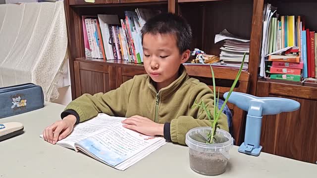 王恺的视频