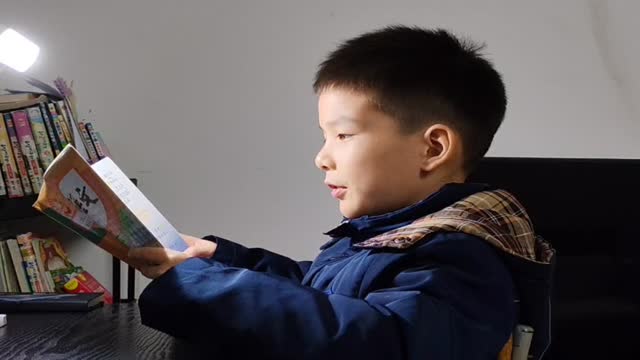 张茗尧的视频