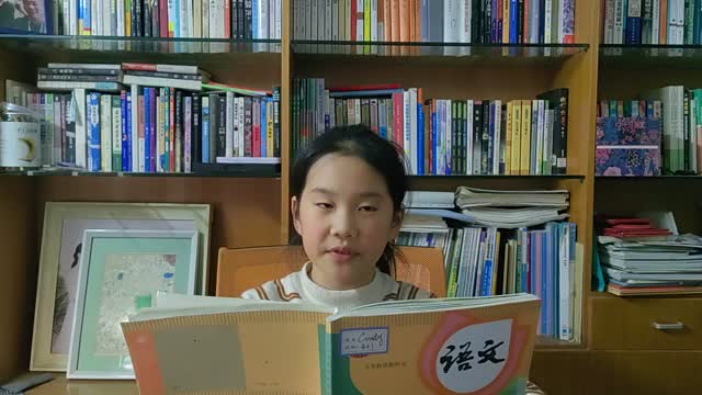 陶莘迪的视频