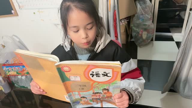 陈稞的视频