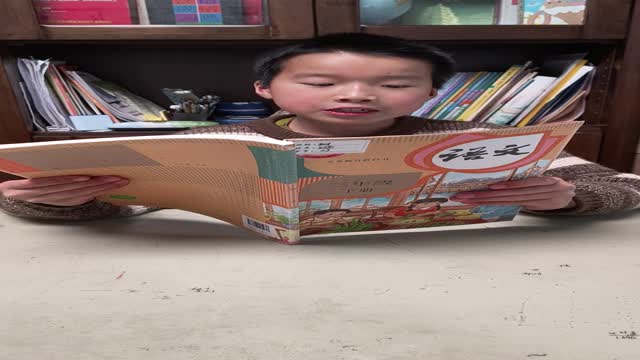 王恺的视频
