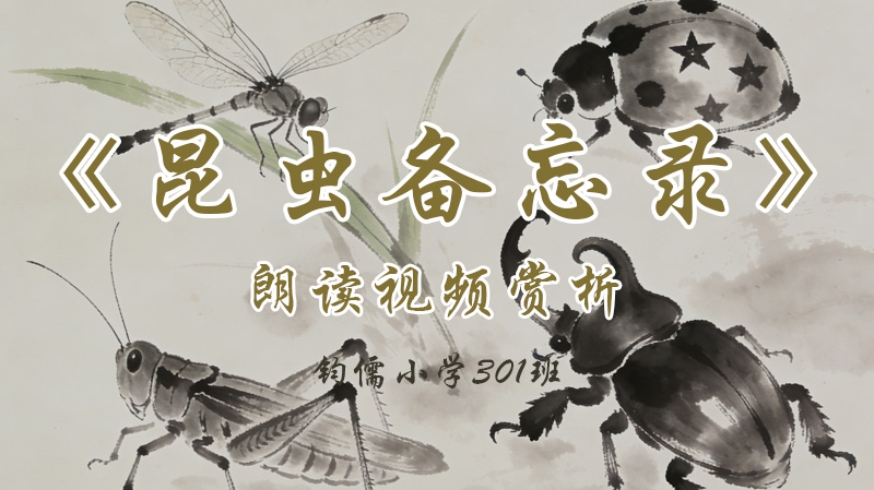 第四课《昆虫备忘录》