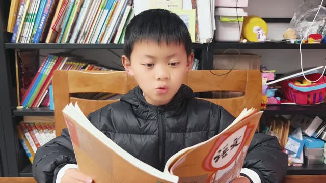 陈栎安的视频