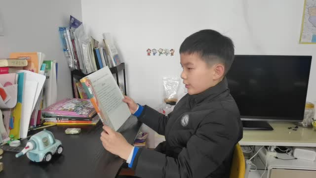 张茗尧的视频