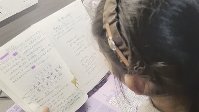 濮沐栩的视频