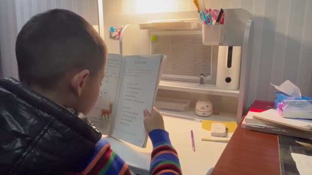 顾嘉阳的视频
