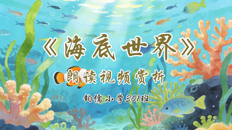 第九课《海底世界》