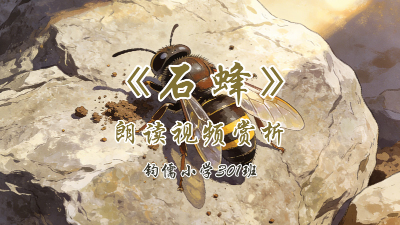 第十课《石蜂》