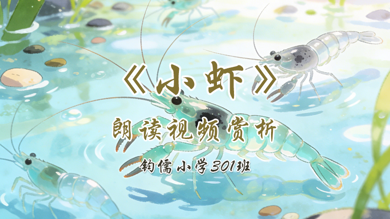 第十一课《小虾》