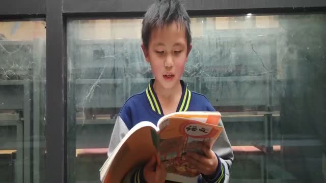 何岱霖的视频