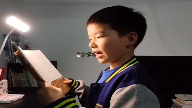 张茗尧的视频