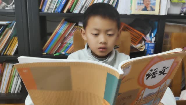 陈栎安的视频
