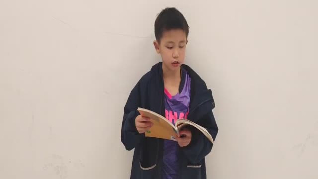何岱霖的视频