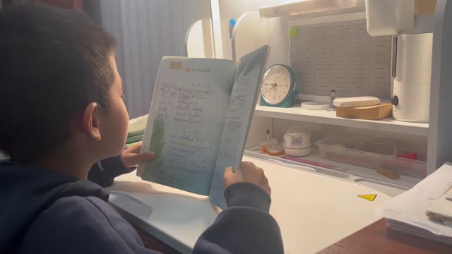 顾嘉阳的视频