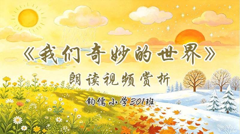 第二十四课《我们奇妙的世界》