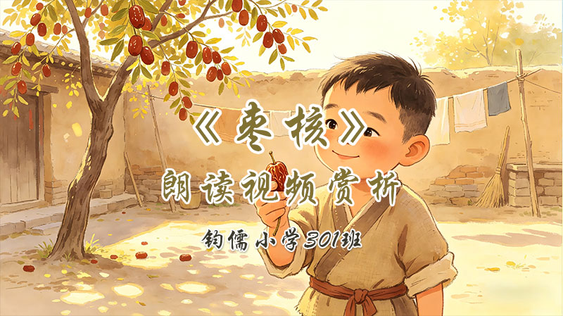 第二十七课《枣核》