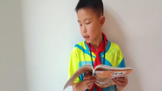 何岱霖的视频