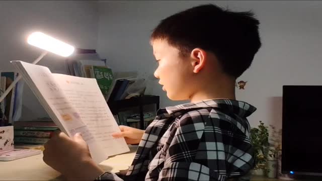 张茗尧的视频