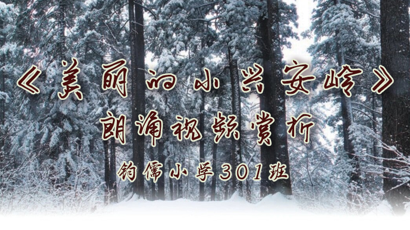 第18课《美丽的小兴安岭》